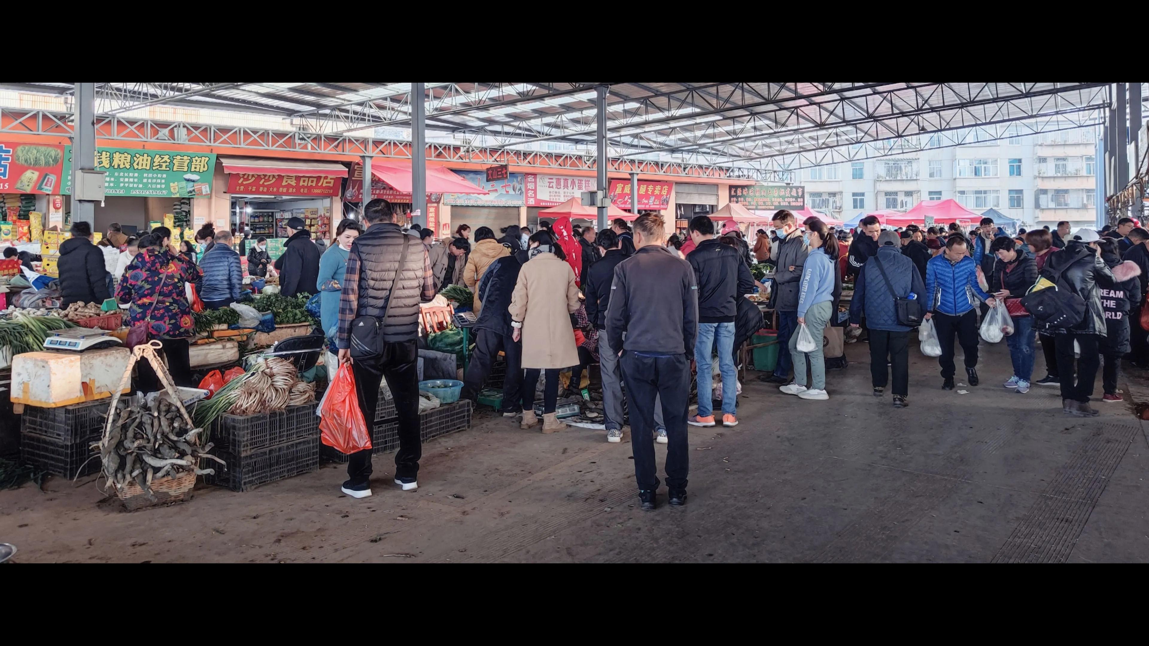 小米10至尊纪念版和荣耀magic3pro,小米10至尊纪念版对比小米11ultra