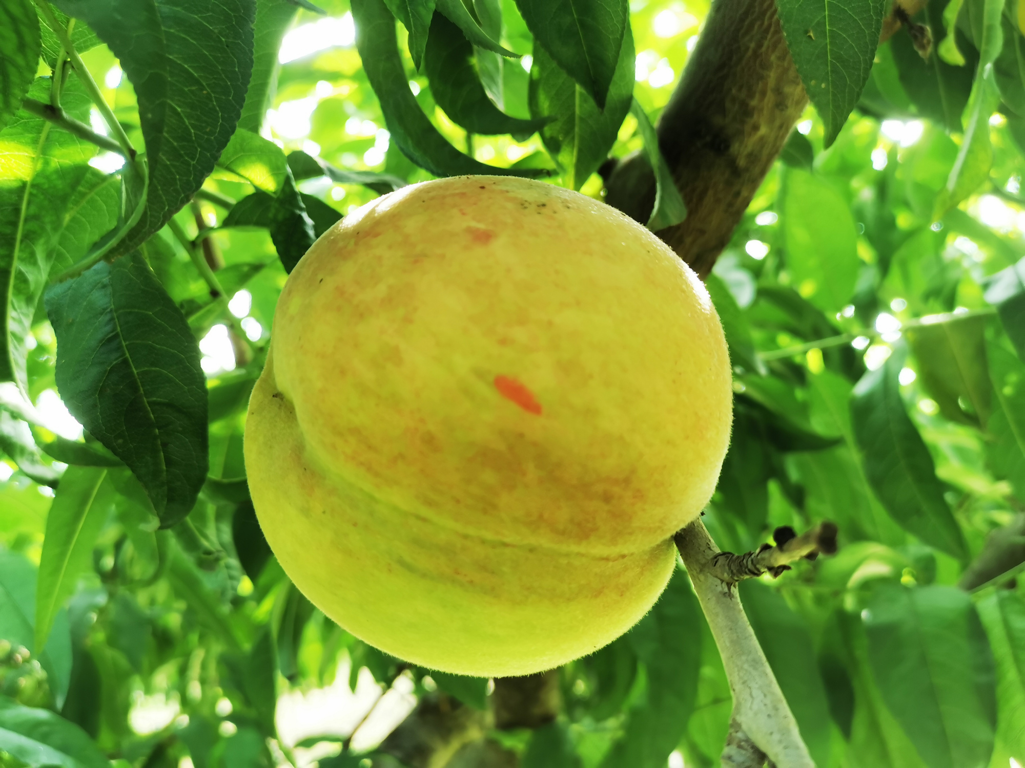 北京最大户外温泉,北京面积最大的温泉