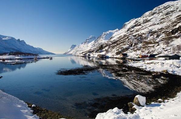 如果地球上的水没有了会发生什么,假如地球上的水消失人类会怎么样