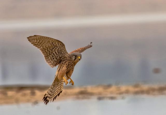 它说吉他前奏,她说钢琴伴奏和弦