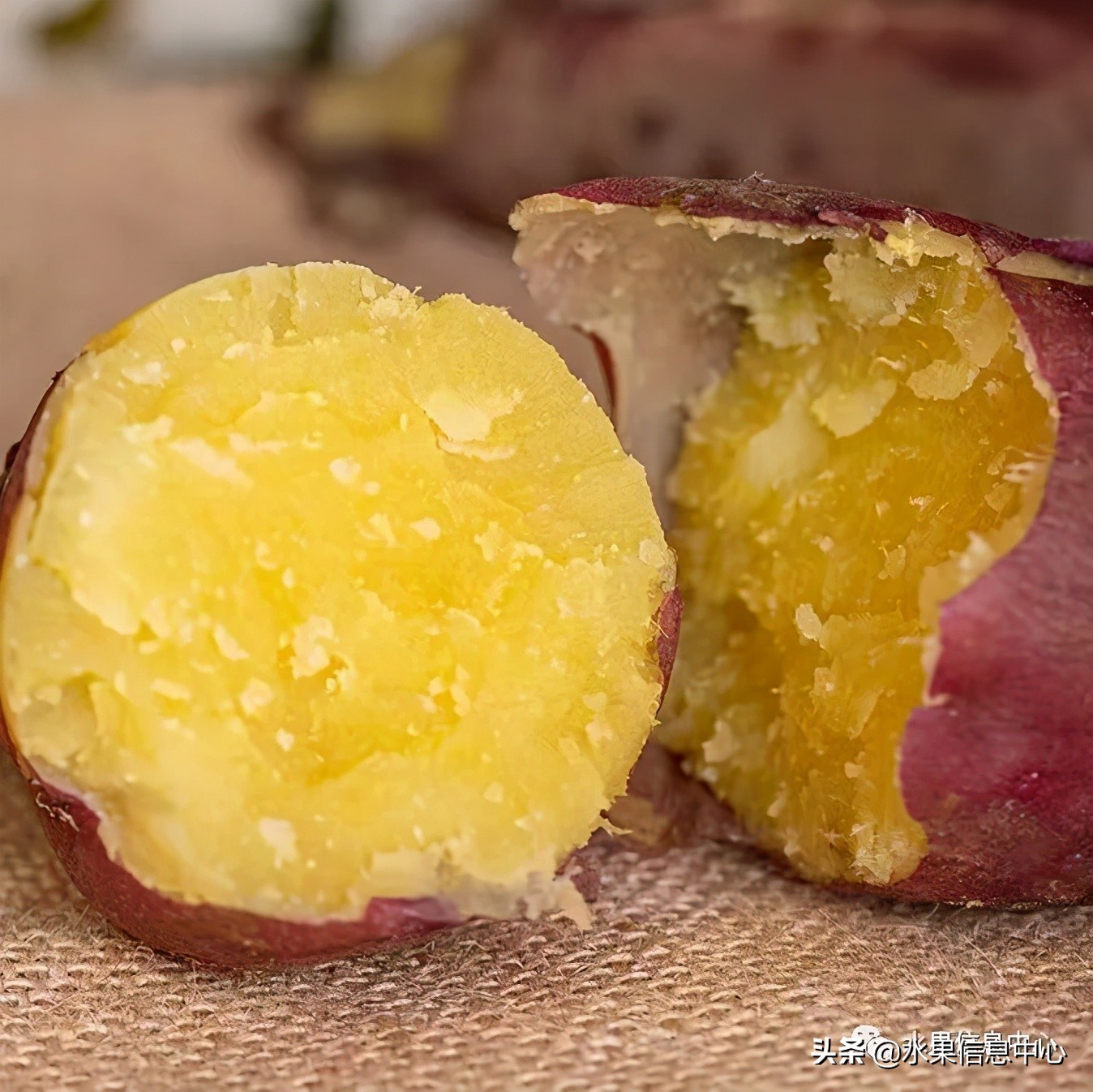 水果天堂：海南水果品种及上市时间表