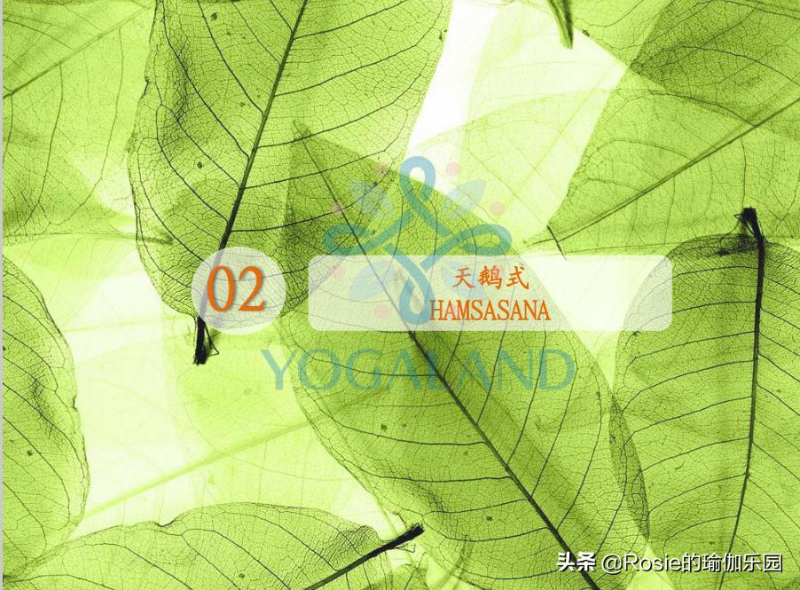 熬夜不睡的好办法,熬夜不瞌睡的小妙招