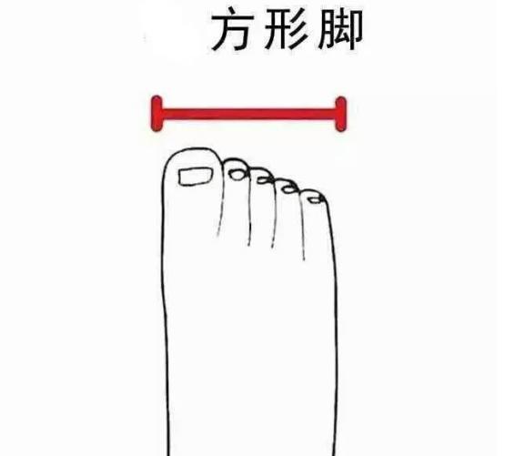 最好看脚型埃及脚,埃及脚希腊脚哪种脚型好