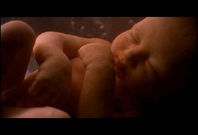 口碑炸裂宝藏纪录片推荐,宇宙生命探索纪录片