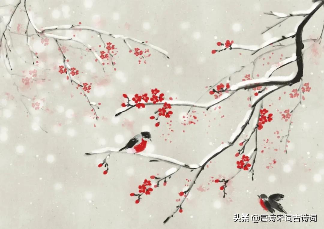 中国有一句古诗人间至味是清欢,内容里有人间至味是清欢的古诗词