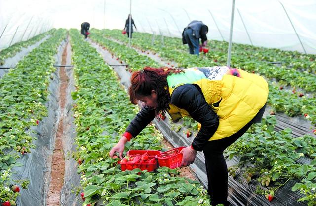 农村怎么创业致富的好项目,农村200万投资致富项目