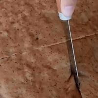 枣糕家常做法蒸锅,炸枣糕的家常做法