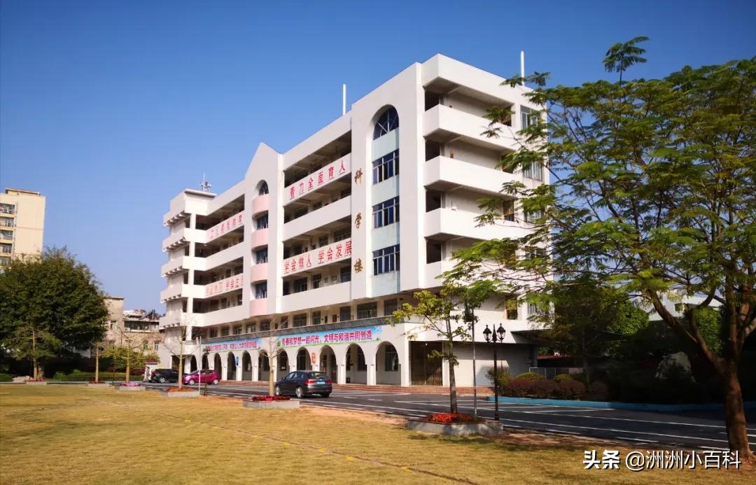 新兴县华侨中学学校介绍,新兴华侨中学历史