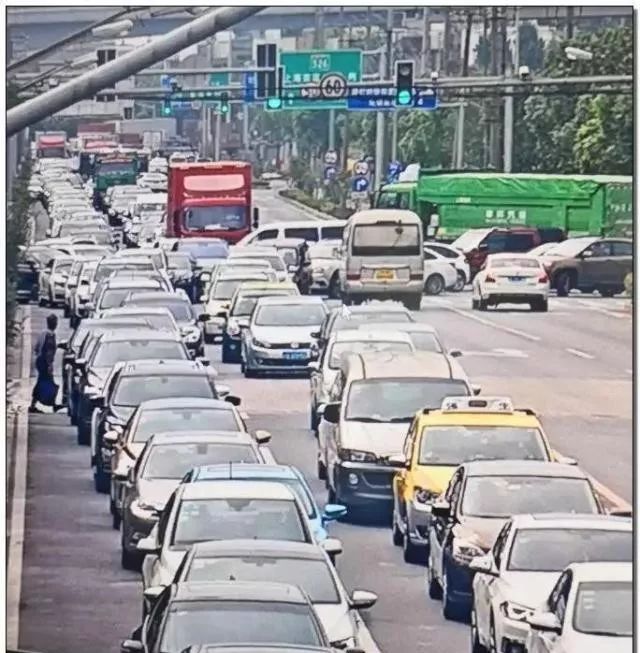 上海costco有哪些值得买的,上海的costco开在哪里了