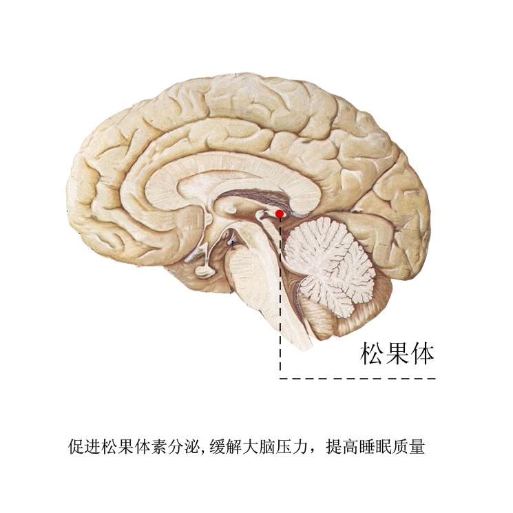 褪黑素是改善睡眠还是治失眠神器,褪黑素治失眠有没有副作用