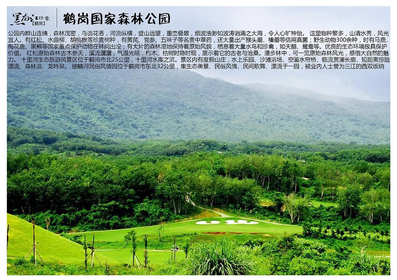 鹤岗现实情况,鹤岗究竟怎么样