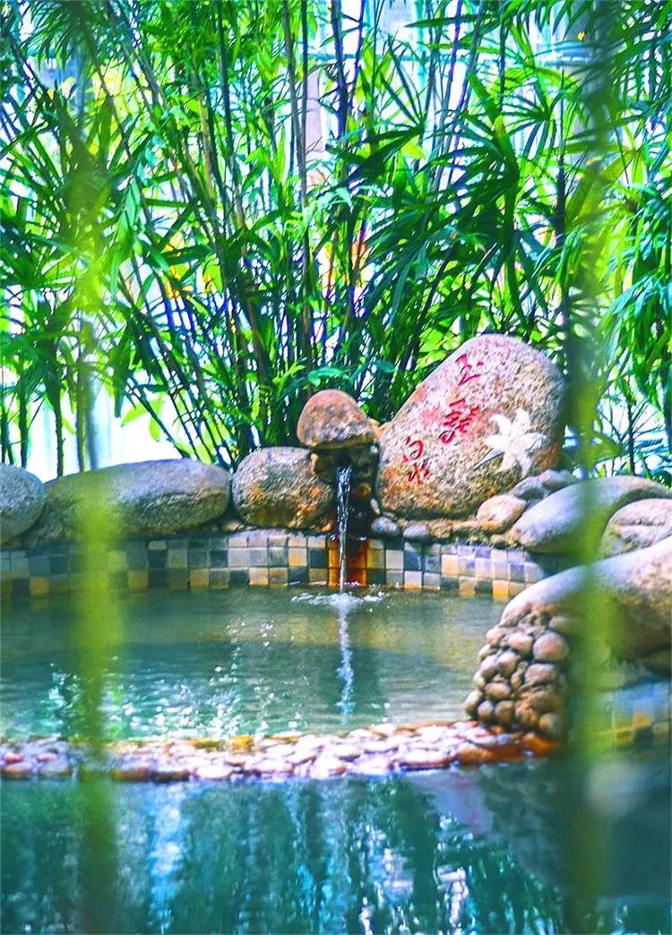 咸宁一日温泉游,咸宁温泉谷温泉攻略