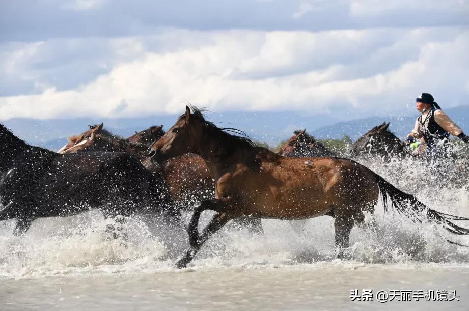 天丽镜头签约摄影作品,天丽长焦镜头