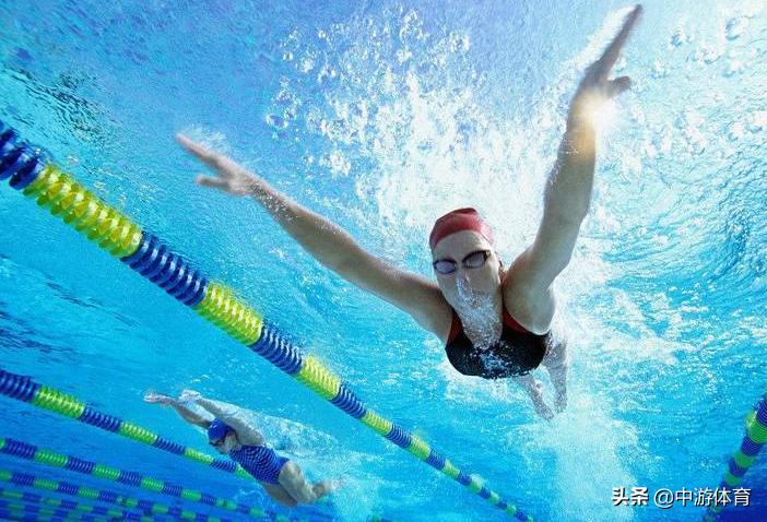 中游体育蝶泳教学视频初学者,蝶泳怎么游才能游得最快