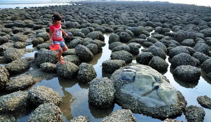 距海南仅20km，这个处女地比台湾风情、比三亚便宜，你错过了吗？