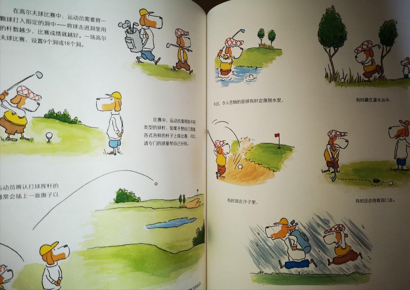 跟体育游戏有关的绘本,儿童运动趣味知识