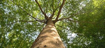 拍摄技巧入门教程图解,掌握这几招简单易学的拍摄秘诀