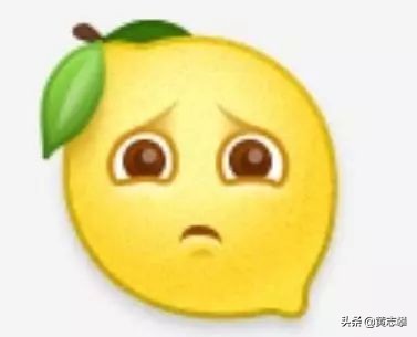 2019十大媒体流行语,2019十大流行语啥意思