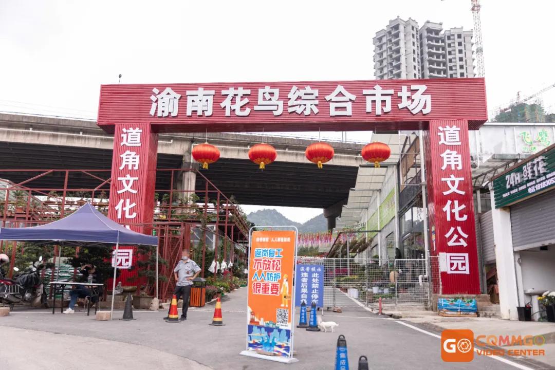 重庆最大的花市在哪里,重庆花市排名前十名