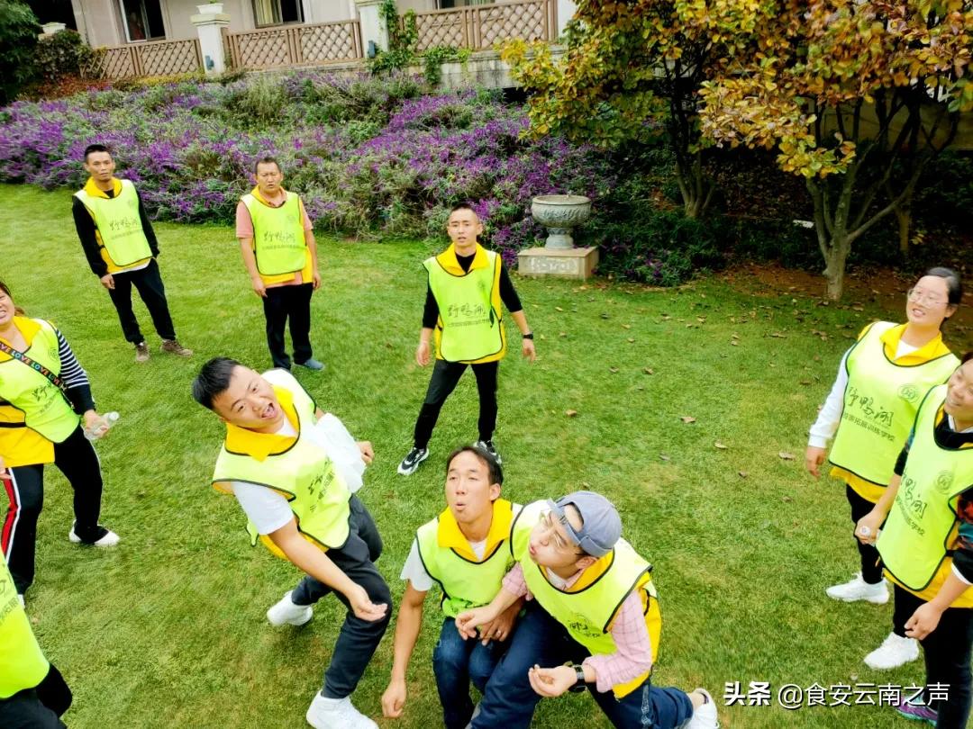 金丰汇聚，共创未来——2020“金菜花”营销精英训练营（第二期）圆满闭营