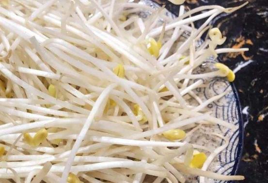 绿豆怎么生出绿豆芽,开水生绿豆芽