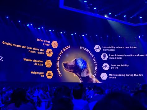 宠物消费市场千亿赛道,宠物市场分析暴涨背后