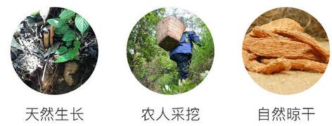 天麻治头痛什么季节效果最好,野生天麻治头痛怎么吃效果最好