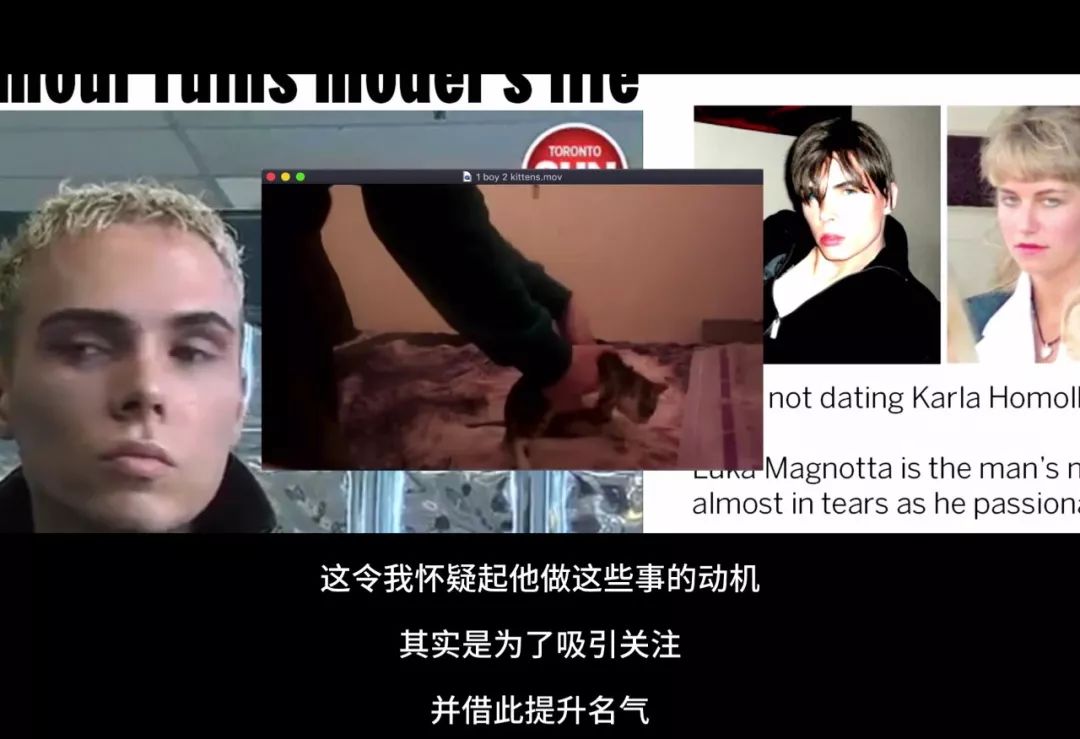 猫咪杀人案真实案例,猫咪被谋杀肢解抛尸案