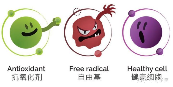 抗氧化精华油推荐,抗氧化的精华推荐平价学生