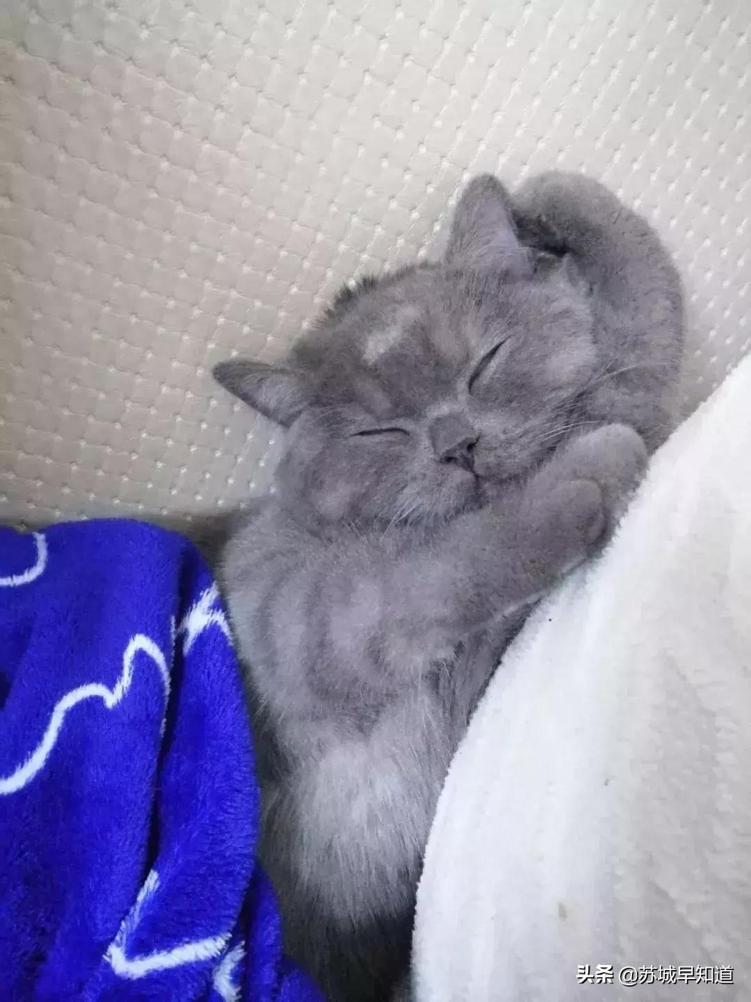 苏州市平江区万达广场,苏州平江万达广场