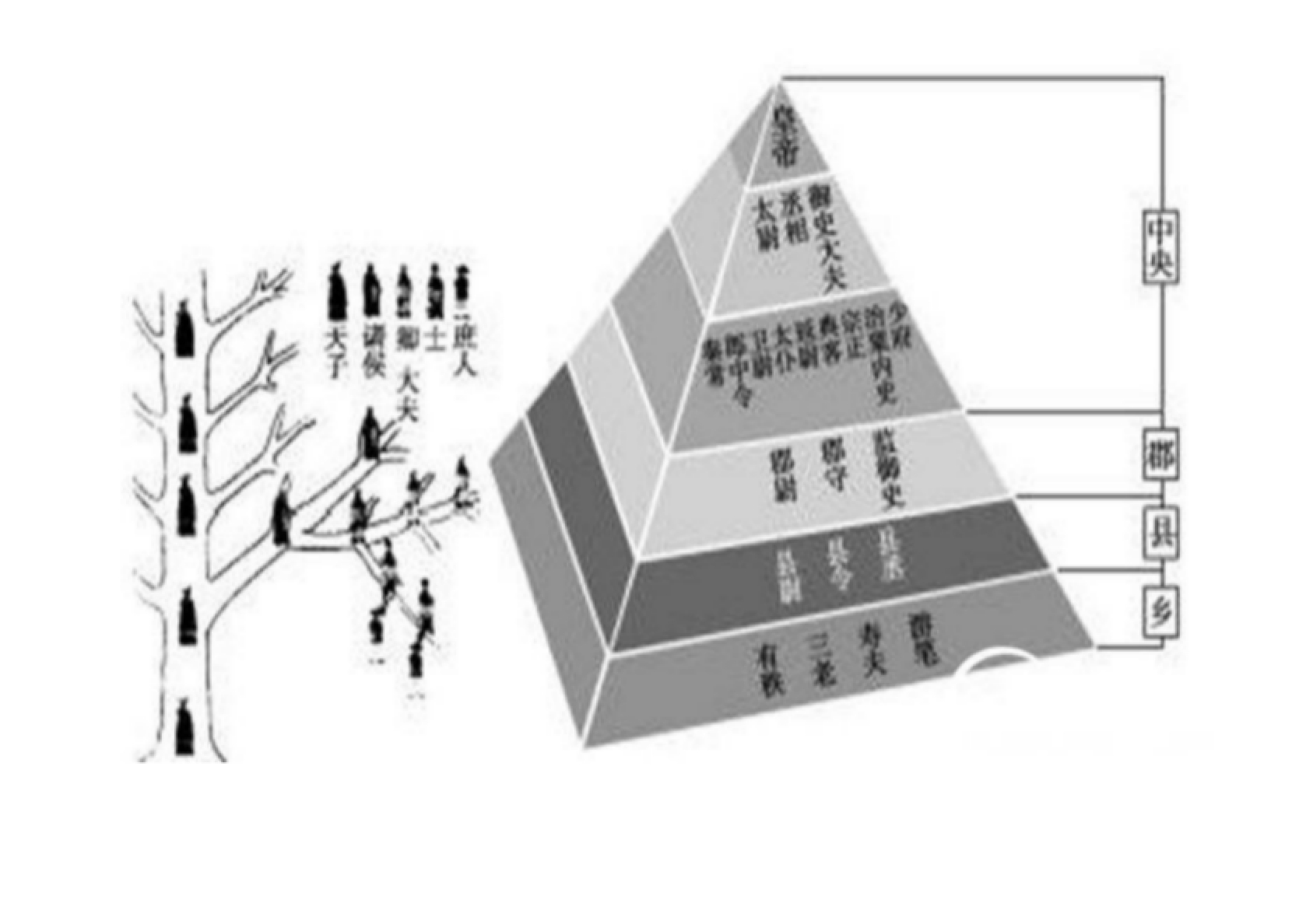 秦朝为什么能统一,秦朝能大一统的原因