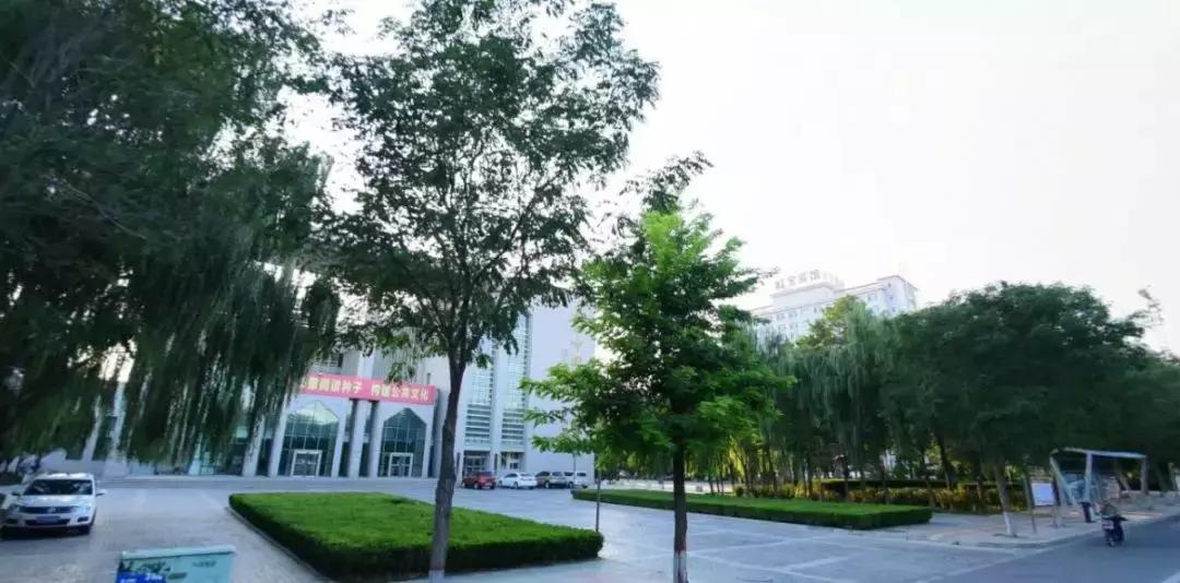 吴忠必吃十大美食,宁夏吴忠特色美食