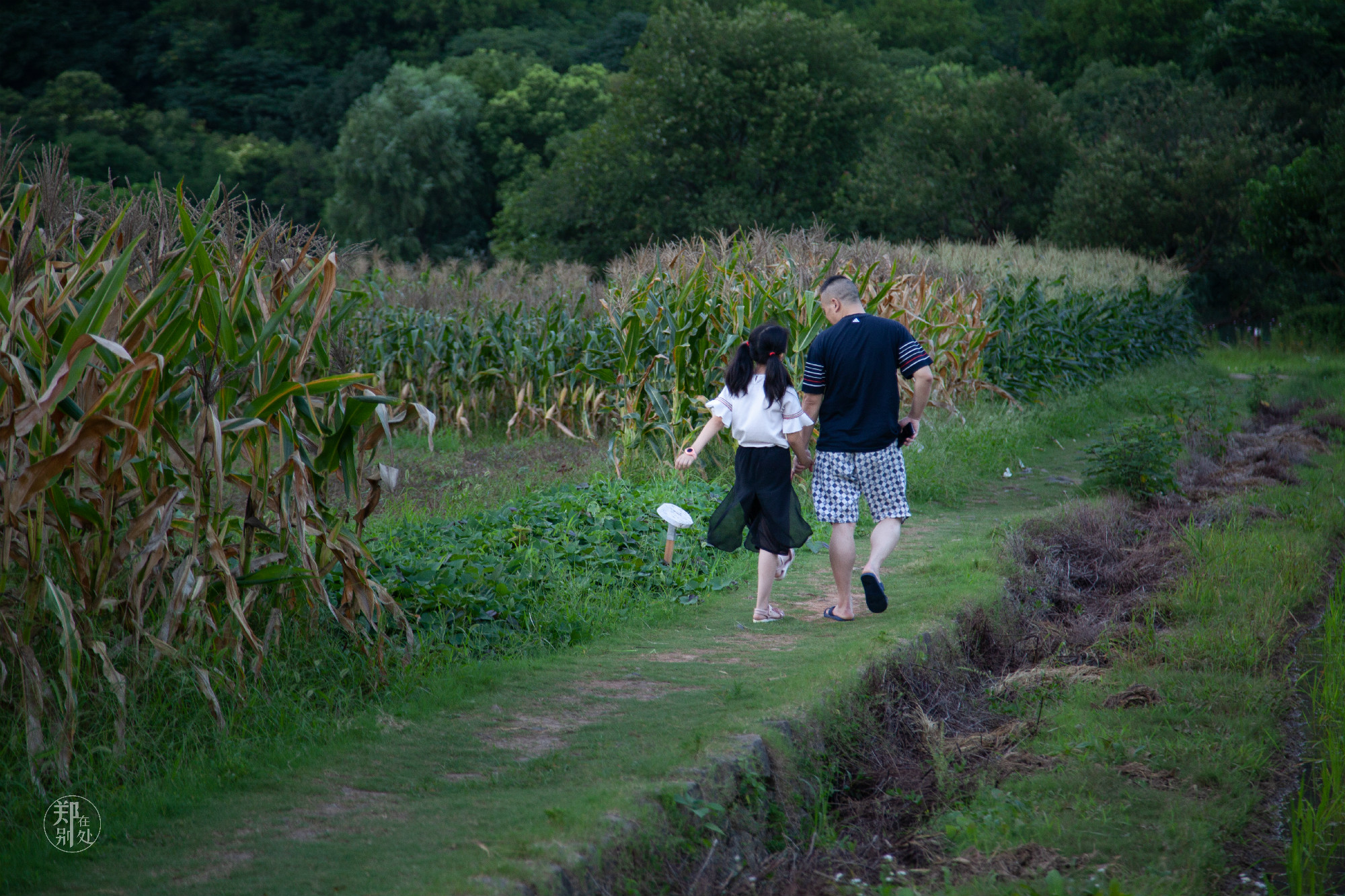 坐公交游杭州几路最好,杭州87路公交沿路风景
