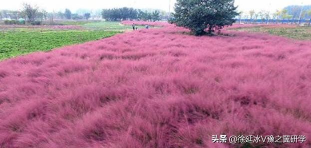 郑州五一近郊游的好地方,不出郑州就能游玩的地方