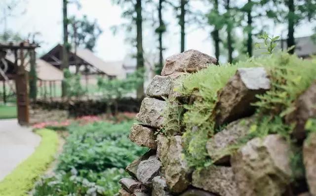 涔屾潙娓稿鏁伴噺,涔屾潙骞存帴寰呮父瀹㈤噺