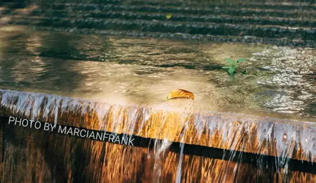 什么是徐汇,什么是海派甜心