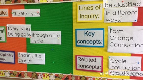 我在厄瓜多尔的定居生活1