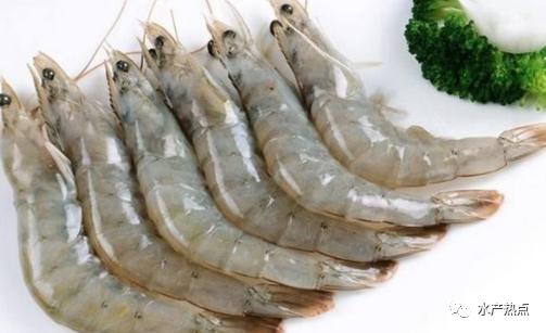 进口南美虾价格最新行情,今年5月份进口南美白虾全国数量