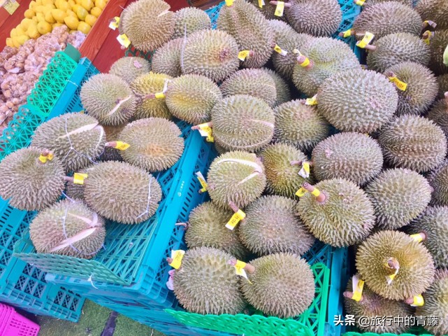 西双版纳最便宜的水果市场在哪里,西双版纳水果和昆明比哪个便宜