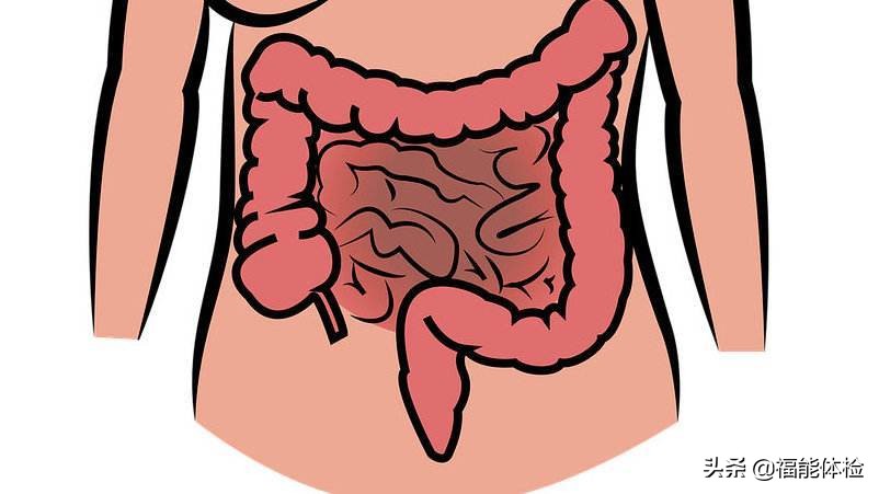 肠镜前清肠的正确方法,做肠镜前清肠的正确方法