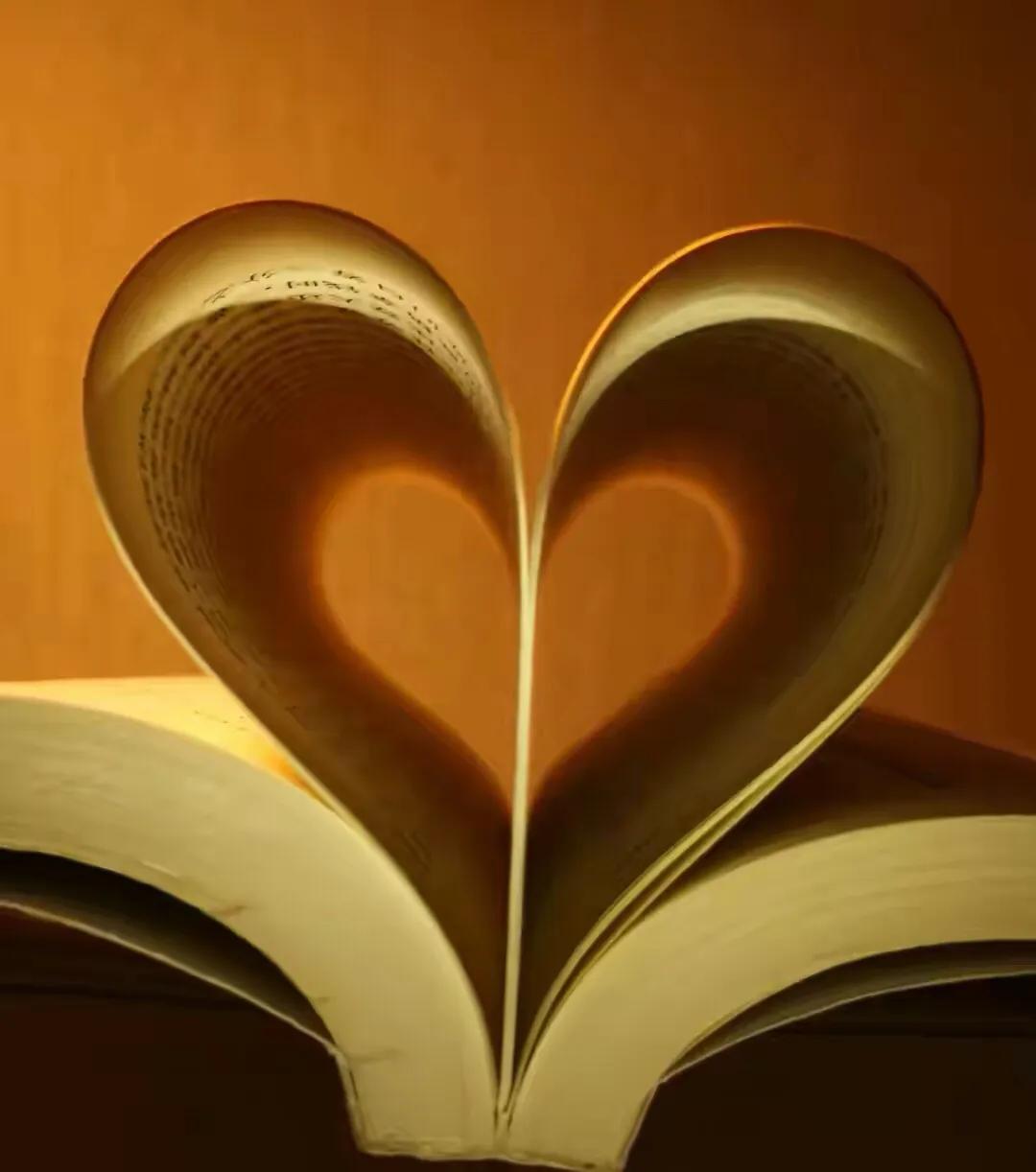 手拍世界809期获奖作品名次,手拍世界投稿