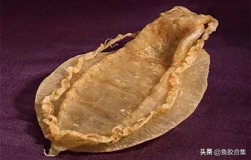 花胶一共有几种类型的品种,花胶种类中哪种最好