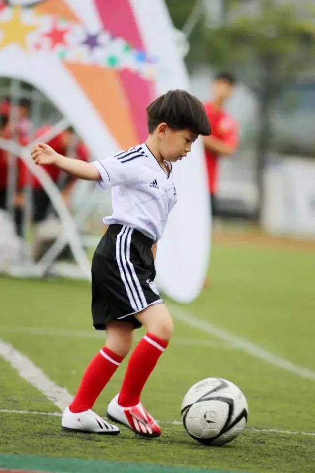 段刘愚深圳哪里人,学霸段刘愚哪所学校