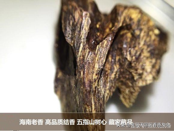 海南黄奇楠沉香什么味道,海南黎母山沉香味道和特征