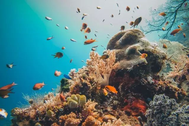 世界最贵酒店一晚460万,广东最贵别墅度假村