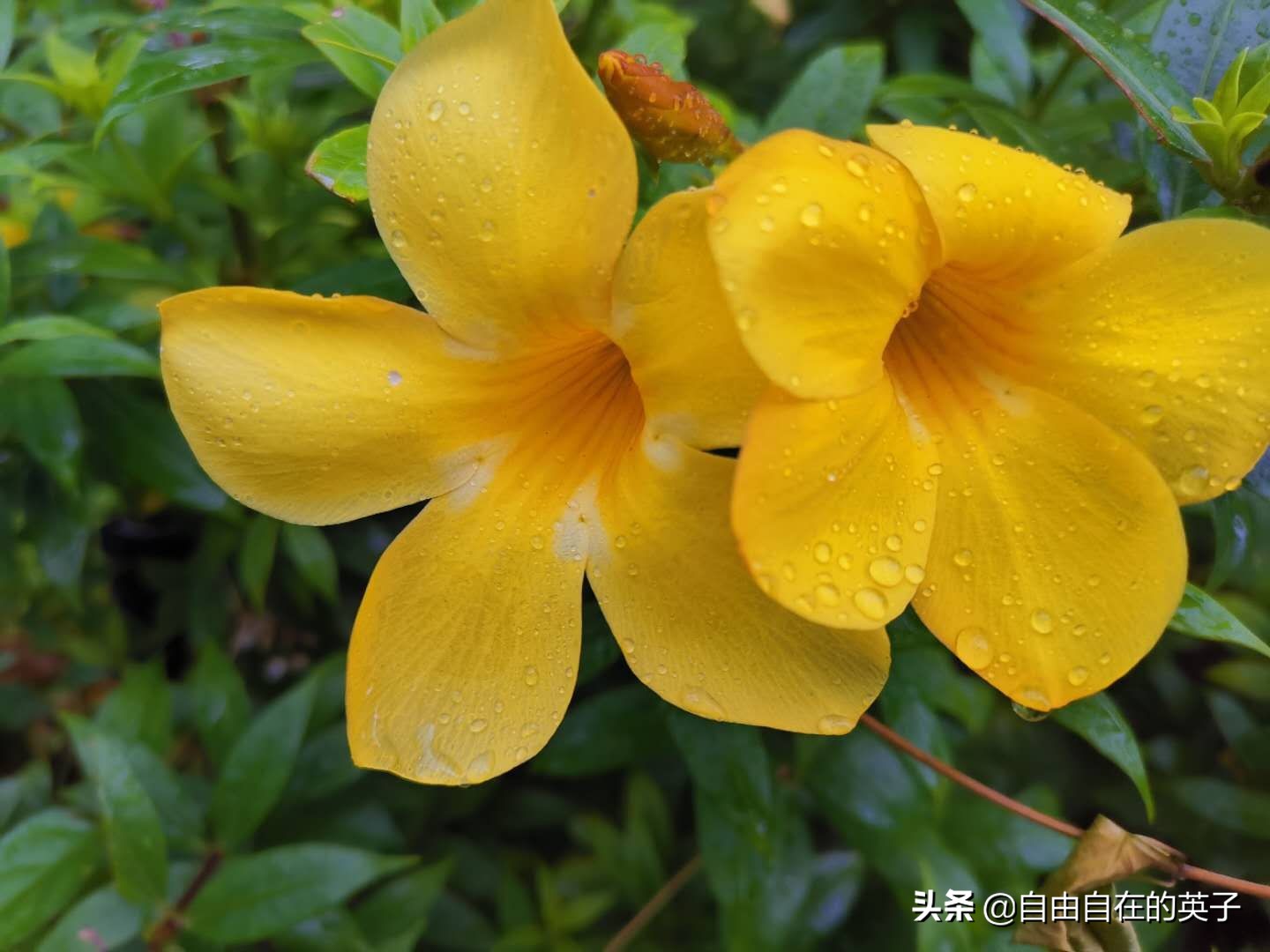 菲律宾长滩还能去吗,菲律宾长滩岛的海