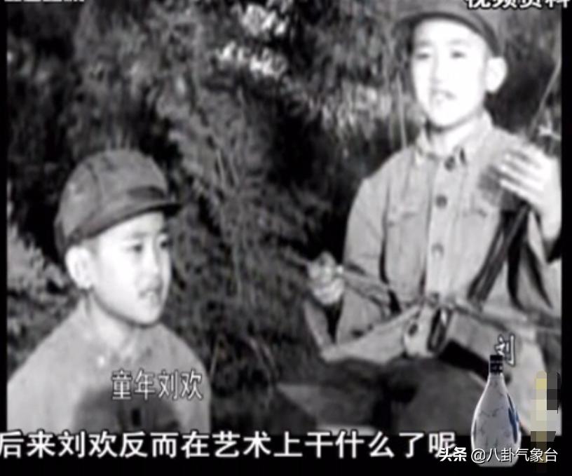 刘欢和戴志诚的视频,刘欢戴志诚完整版