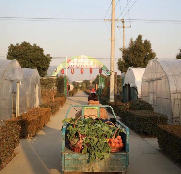 邓超带孙俪坐三轮,邓超带孙俪骑电动车