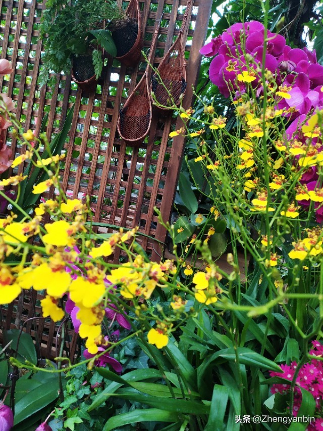 福州鼓山风景区大门,福州于山风景区开放时间最新消息