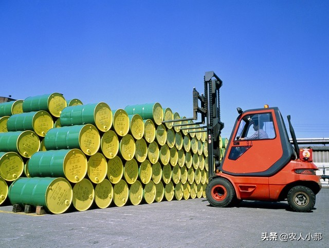 种植大豆怎么防止兔子偷吃,野兔吃种的黄豆怎么办